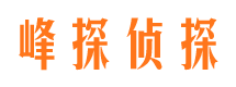 武宁找人公司